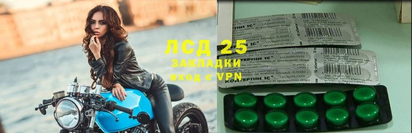 PSILOCYBIN Алзамай