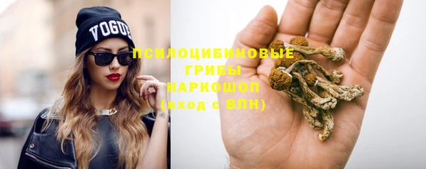 PSILOCYBIN Алзамай