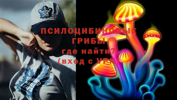 PSILOCYBIN Алзамай