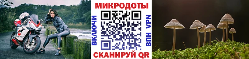 Псилоцибиновые грибы прущие грибы  Любим 